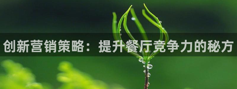 必赢这个平台怎么样知乎