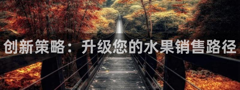 必赢网站mg冰球突破豪华版