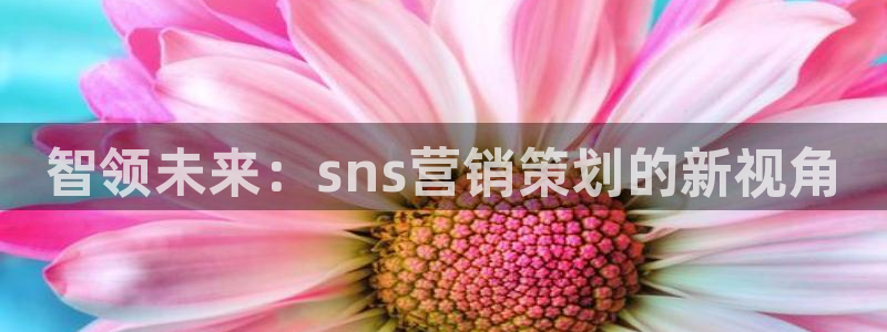必赢qp