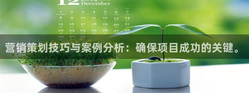 必赢棋盘9965.0版本
