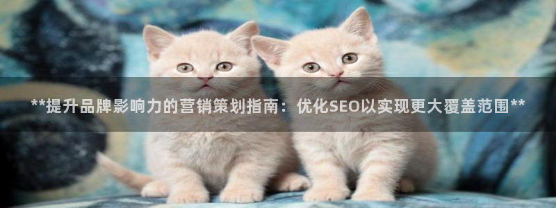 必赢网站是哪一个