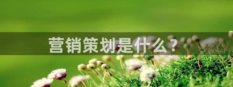 必赢官网app下载安装苹果
