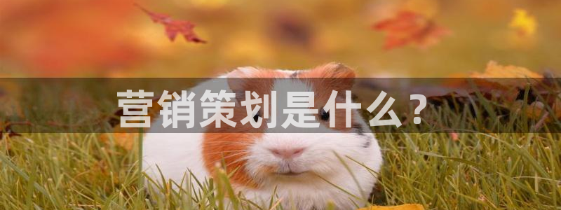 必赢官网网址多少号登录