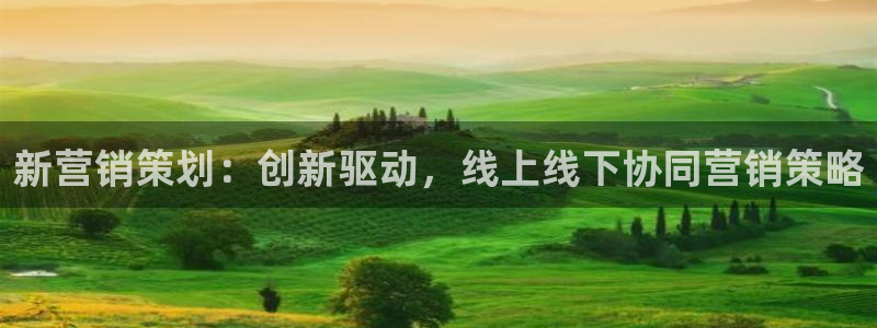 必赢网址官网