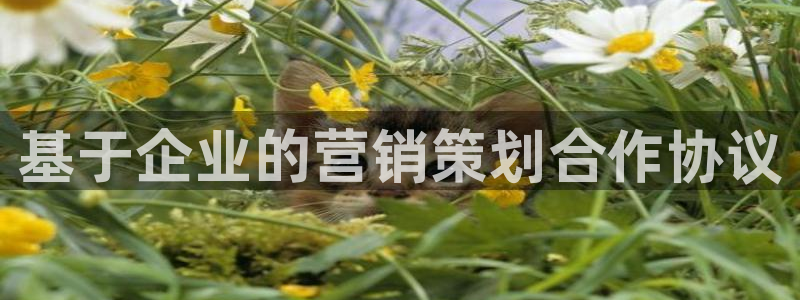 必赢官网app下载苹果版
