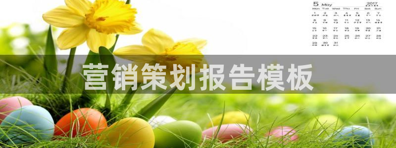 必赢科技有限公司
