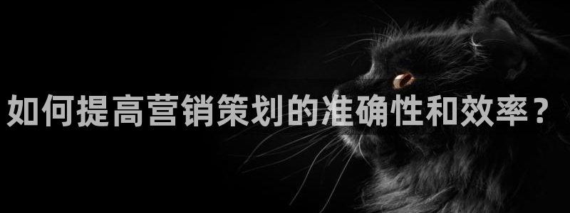 必赢国际是什么