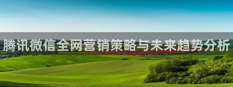 必赢手机版官网