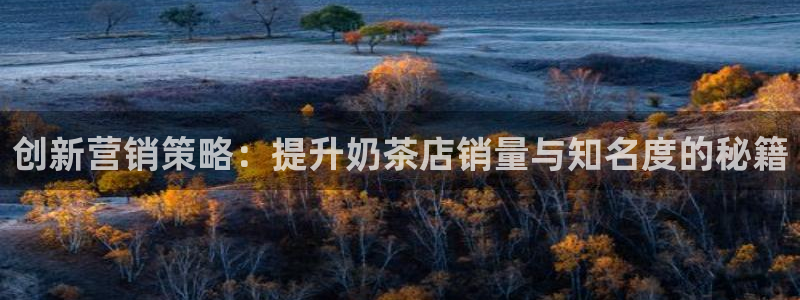 必赢网站