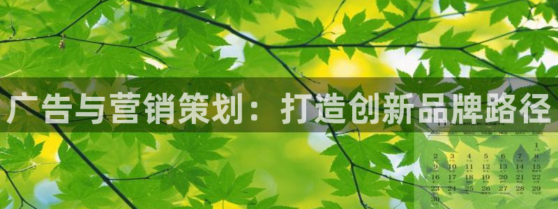 必赢手机app下载最新版本安装