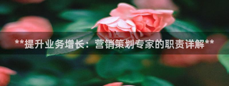 必赢棋脾