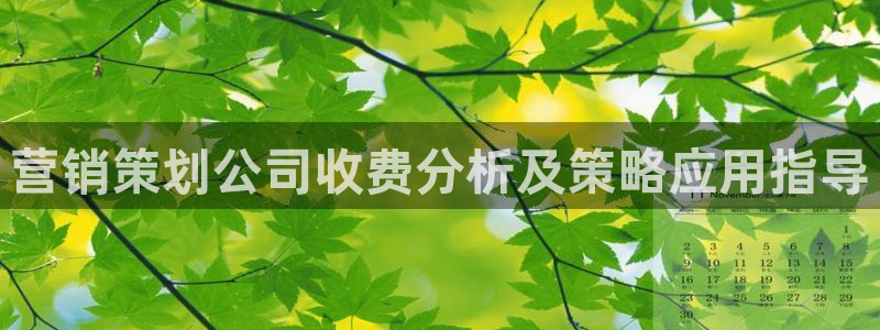 必赢活动安卓下载app