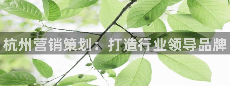 9965必赢游戏版本