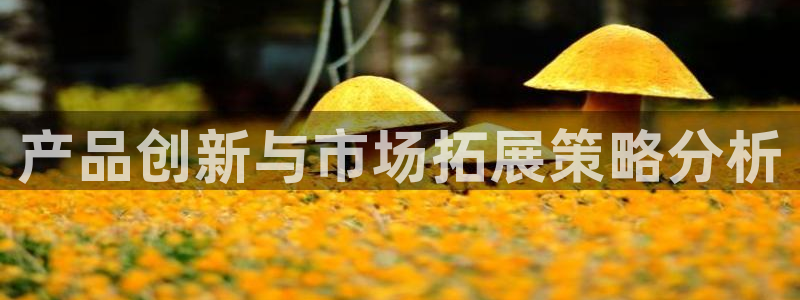 必赢平台官方