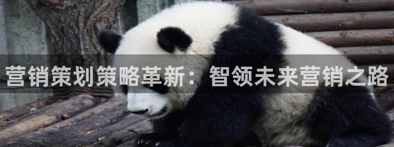 必赢国际437官网版