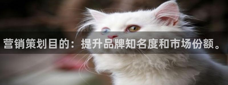 必赢网站充值是真的吗