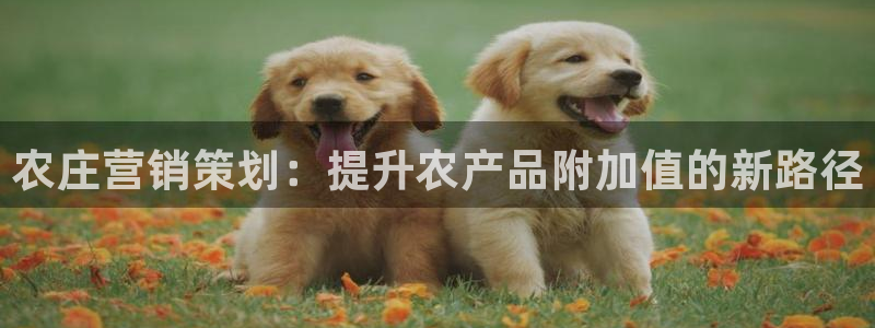 必赢3003 会员账号