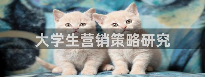必赢亚赢网站官网下载安装