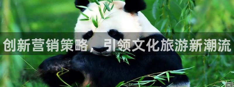 必赢手机app下载 最新版