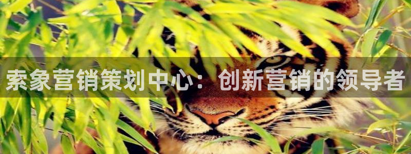必赢官网入口下载安装苹果