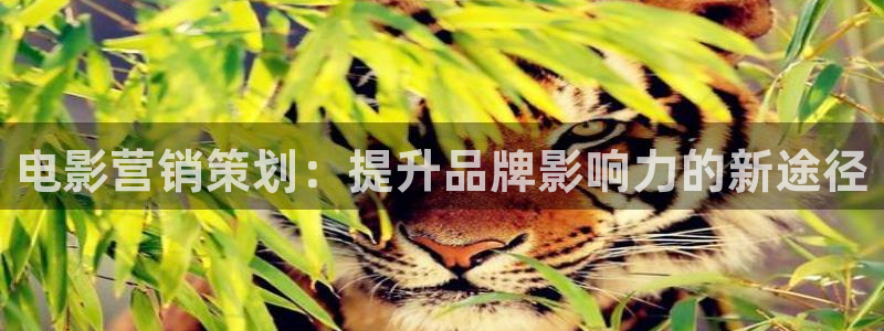 必赢宝是不是合法平台