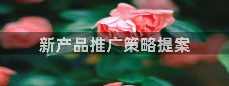 必赢国际官网登录