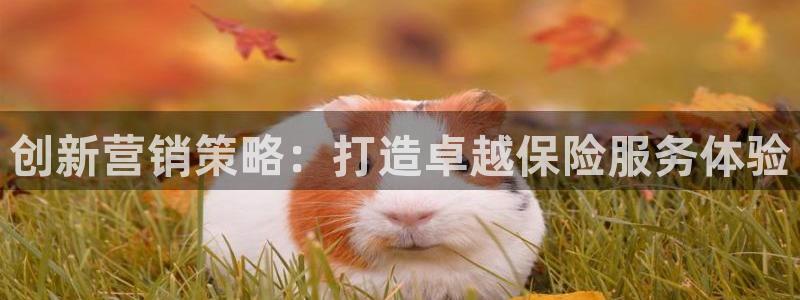 9965必赢游戏特色
