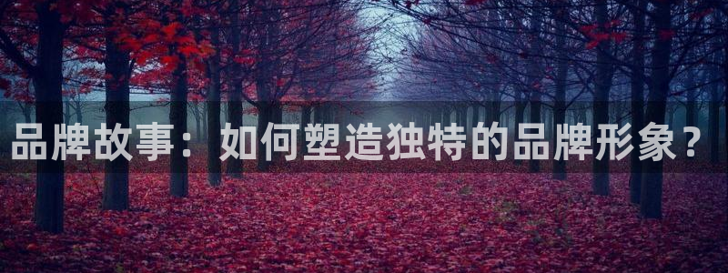 必赢网站mg冰球突破豪华版