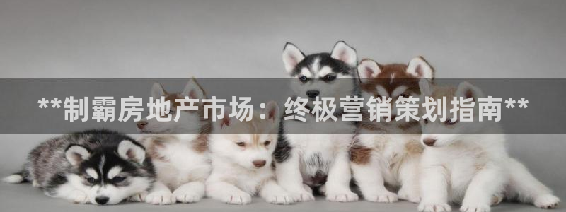 7321必赢安全吗