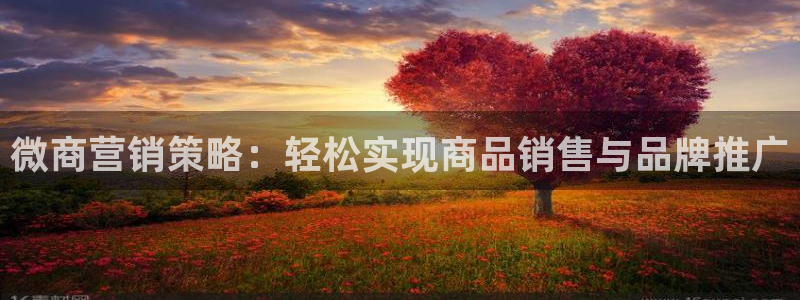 必赢亚赢网站官网下载安装手机版