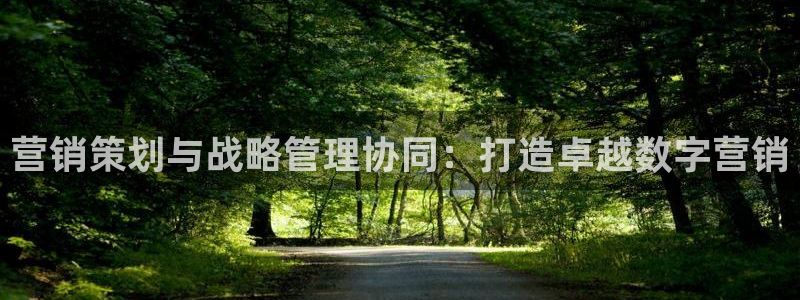 必赢3003网官