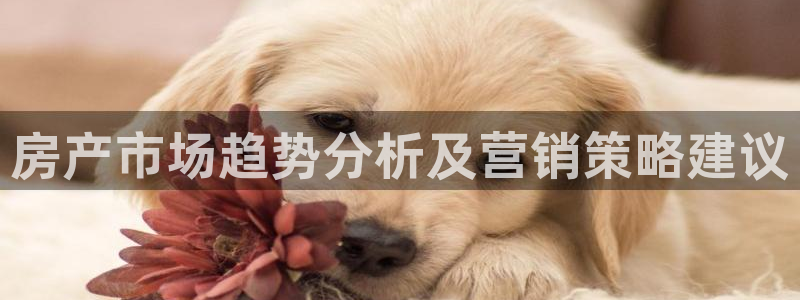 必赢这个平台怎么样啊