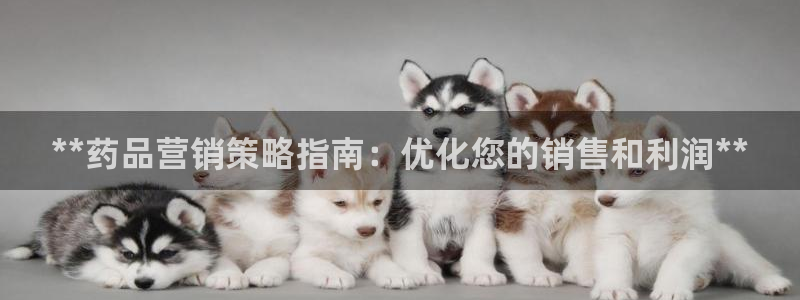 必赢下载官方