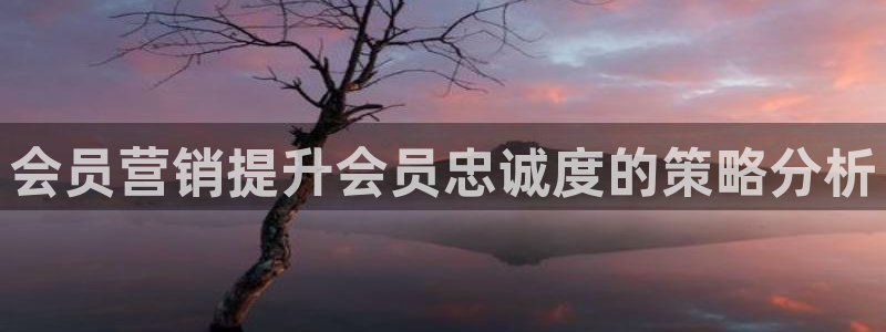 必赢下载苹果手机app