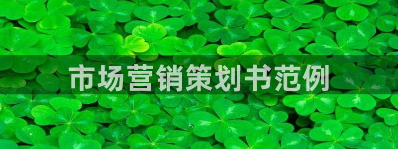 必赢客安卓版