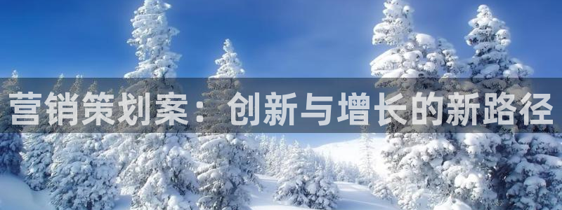 必赢官网网站首页下载