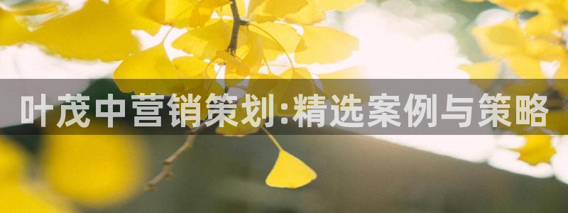 必赢平台官方网址