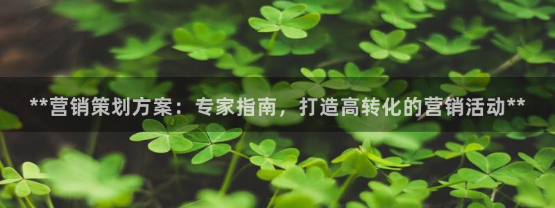 必赢官网
