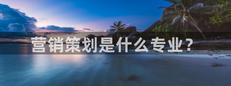 必赢棋盘9965.0版本