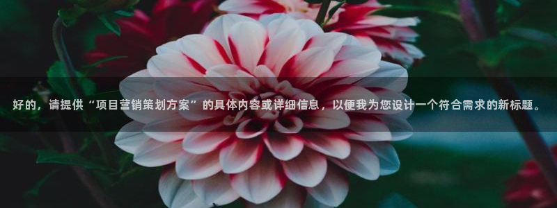 必赢科技