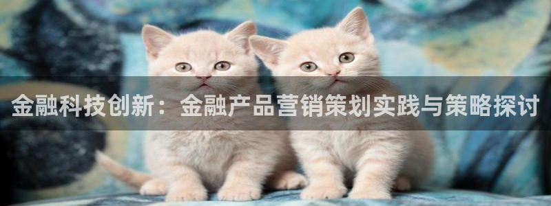 必赢国际怎么样