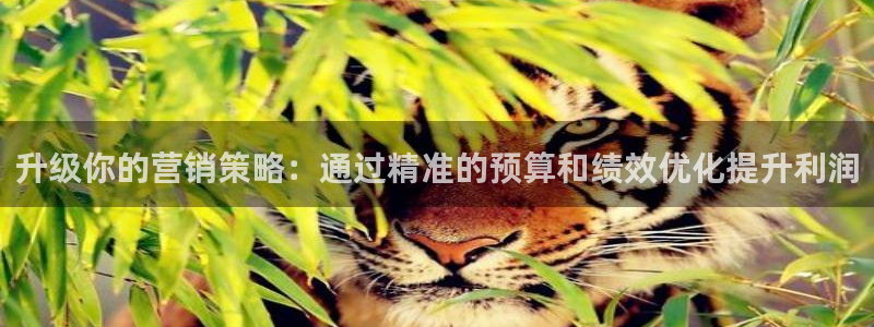 必赢官网app下载安装苹果手机