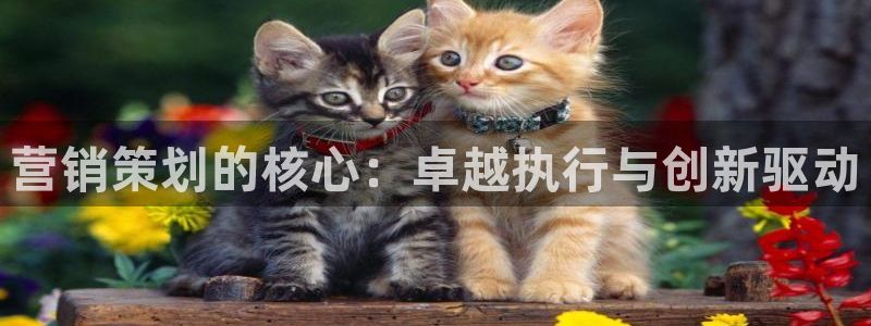 必赢客安卓版