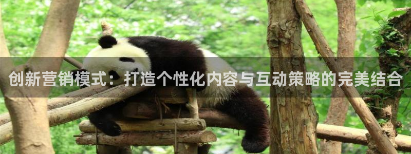 必赢网站是哪一个平台