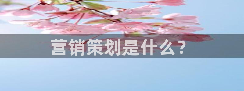必赢平台官方