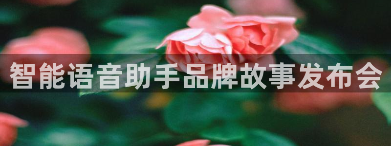 必赢app官方