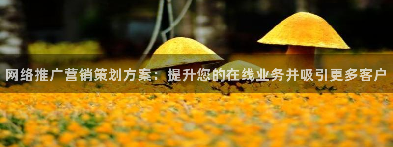 必赢是真的吗