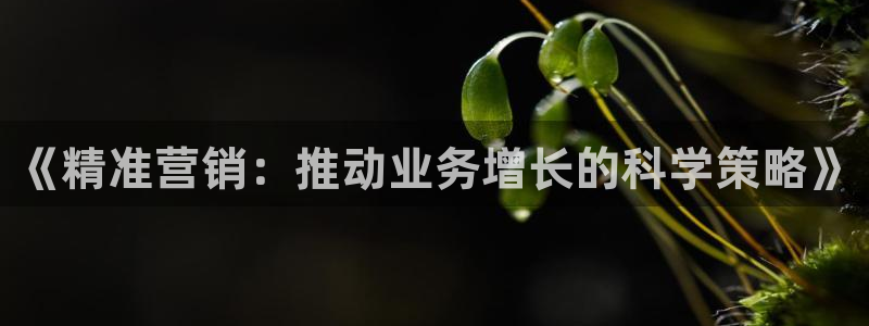 必赢是真的吗