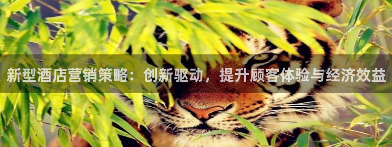 必赢手机app下载最新版安卓苹果可以用吗
