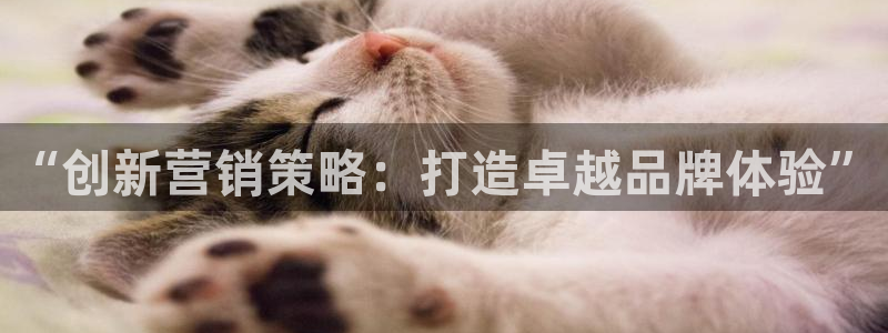 必赢官网入口下载安装